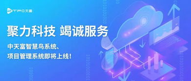 聚力科技攜手智慧鳥系統(tǒng) 項(xiàng)目管理系統(tǒng)即將上線，引領(lǐng)信息技術(shù)咨詢服務(wù)新篇章
